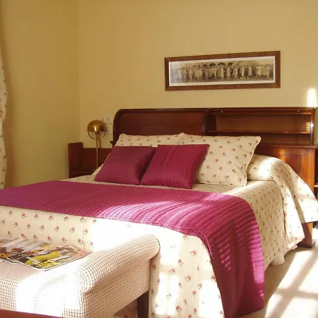 Hotel Palacio De Las Nieves Hotel Langreo