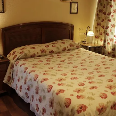 Hotel Palacio De Las Nieves Hotel 4*