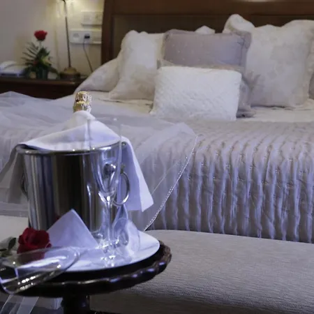 Hotel Hotel Palacio De Las Nieves 4*